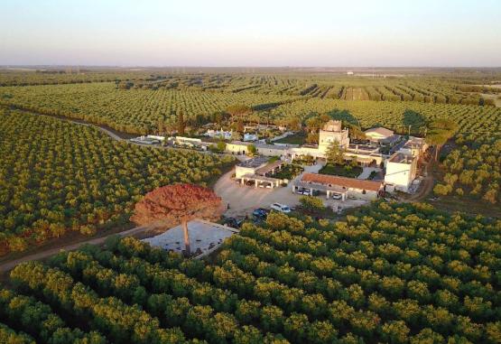 Tenuta Mazzetta  Ostuni Italia