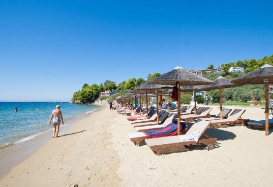 Zaharo - Troulos  Skiathos Grecia