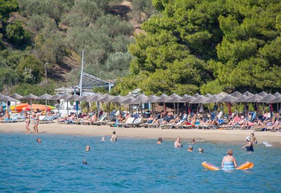 Zaharo - Troulos  Skiathos Grecia