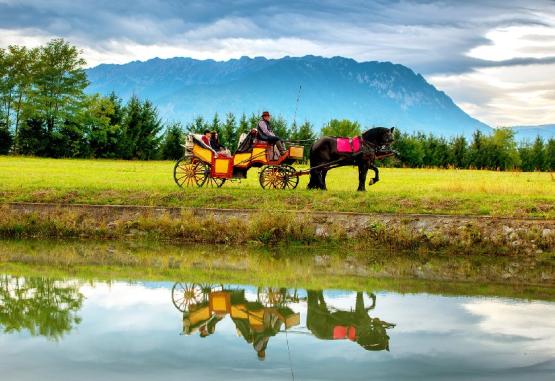 Pensiunea Panicel  Rasnov Romania