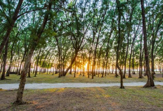 Mon Choisy Beach R  Regiunea Mauritius 