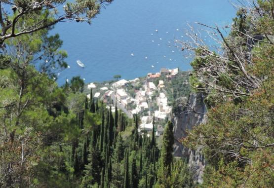 Nido Verde  Agerola Italia