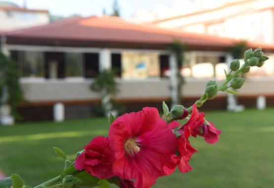 Turquoise Hotel Oludeniz  Oludeniz Turcia