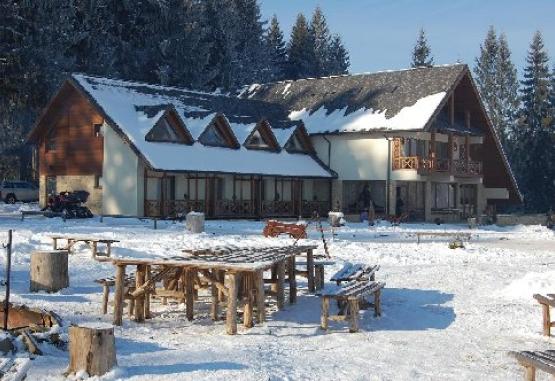 Inima Bucovinei  Suceava Romania