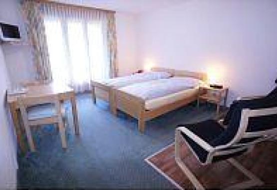 Wellnesshotel Alpenblick Fieschertal Regiunea Elvetia