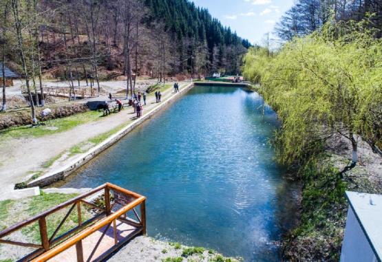 Pastravaria Bratioara  Campulung Muscel Romania