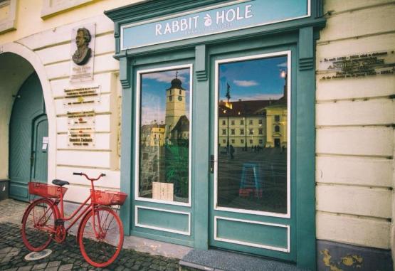 The Rabbit Hole  Sibiu Romania