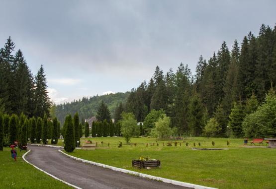 Valea Zanelor  Covasna Romania