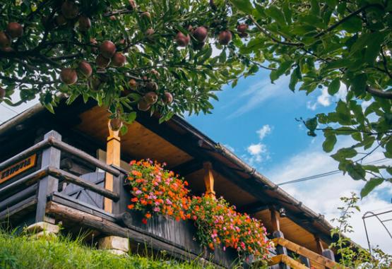 LA ROATA - CASA ZENOVIA  Gura Humorului Romania