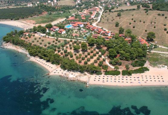 BLUE DOLPHIN Hotel Regiunea Halkidiki Grecia