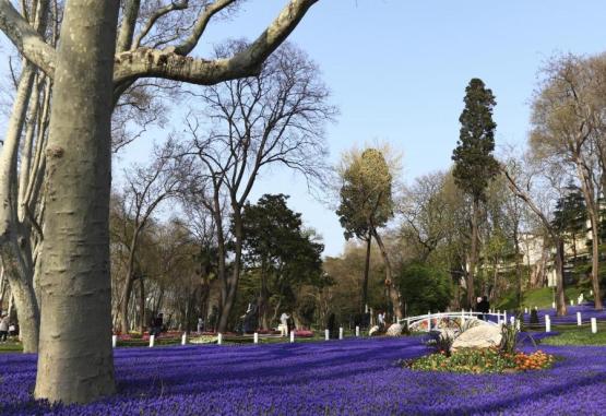 Romance IStanbul Hotel Istanbul Turcia