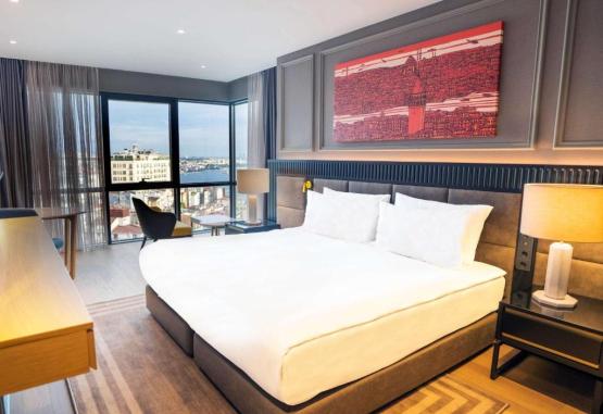 Sofitel Istanbul Taksim Hotel  Istanbul Turcia