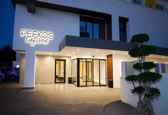 Pefkos Hotel Larnaca Cipru