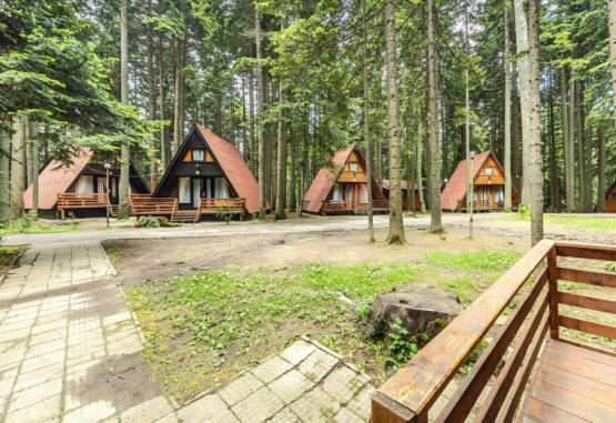 Villas Yagoda and Malina  Borovets Bulgaria