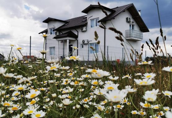 Pensiunea La Matraguna  Tuzla Romania