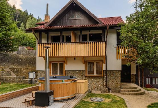 Blend Mountain Villa  Busteni Romania