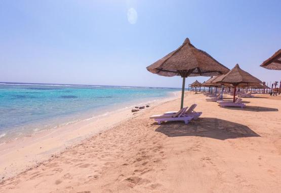 MG Alexander The Great Hotel Marsa Alam 4* Marsa Alam Egipt