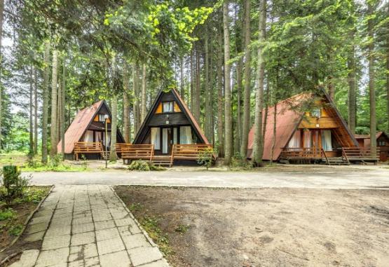 HOLIDAY VILLAGE MALINA  Borovets Bulgaria