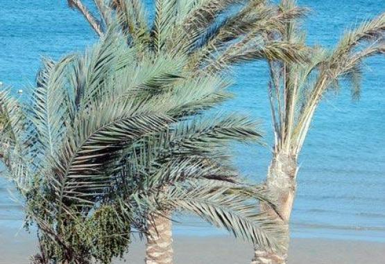 Giftun Azur Regiunea Hurghada Egipt