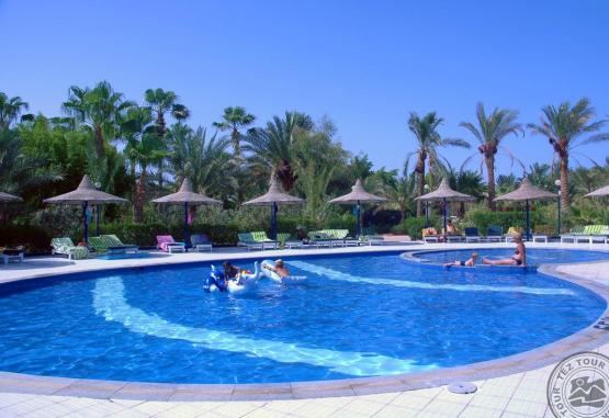 Giftun Azur Regiunea Hurghada Egipt