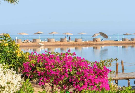 Movenpick El Gouna 5 * El Gouna Egipt