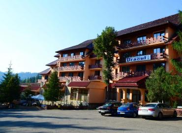 Hotel Bradul